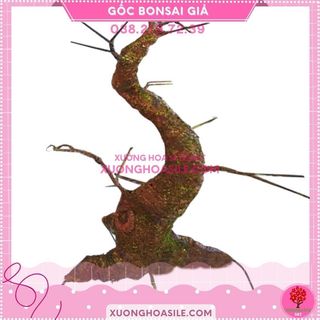 GỐC BONSAI GIẢ