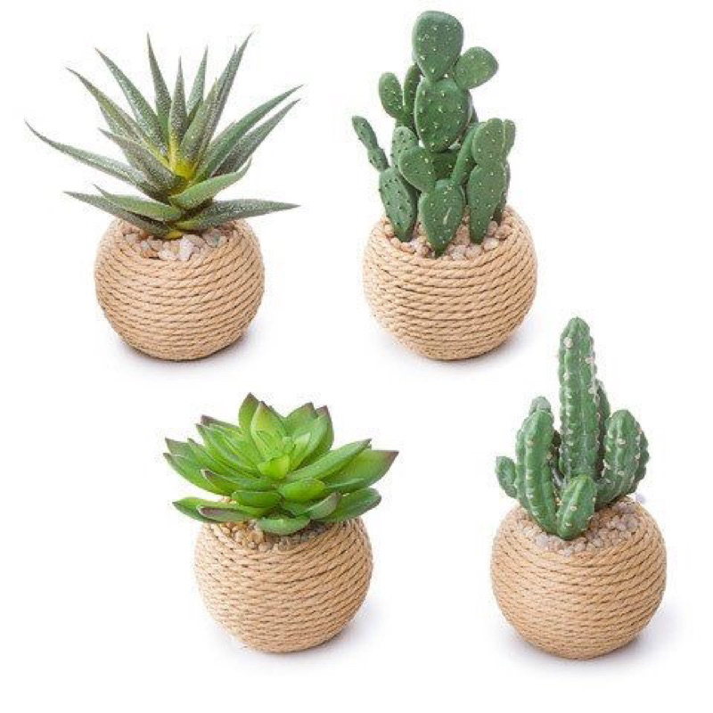 Cuộn 50 mét dây thừng trang trí -loại 2mm