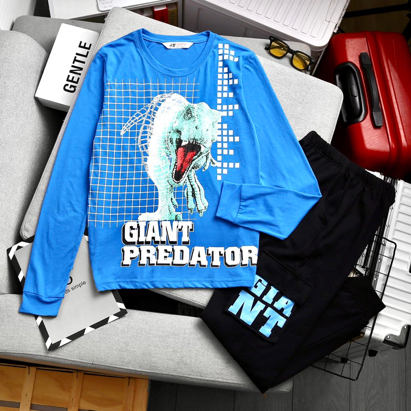 🚗 Bộ da cá Hàng xuất H&M bé trai từ 20-60kg