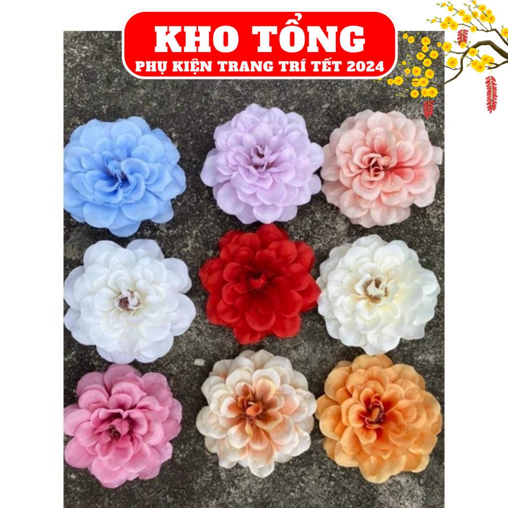 Đầu bông thược dược to