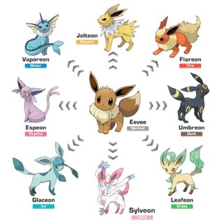 Eevee Evolution Collection