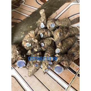 Nghệ đen tươi v khô chuẩn xịn cu già 100% tự nhiên 1kg