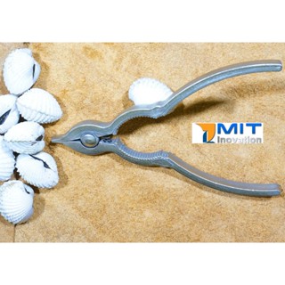 Combo 2 Cái Kềm Tách Sò Huyết Inox Nguyên Khối -  Phiên bản Trắng Nhám