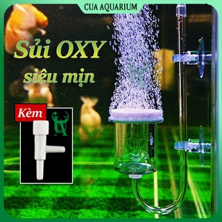 Cốc sủi oxy siêu mịn | Đầu sủi oxy cho bể cá