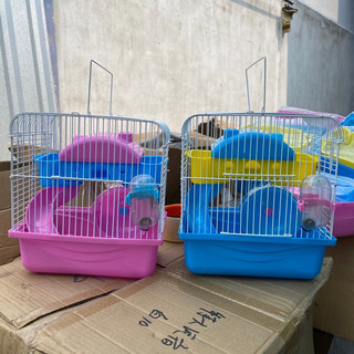 Lồng hamster nhà giữa đầy đủ phụ kiện