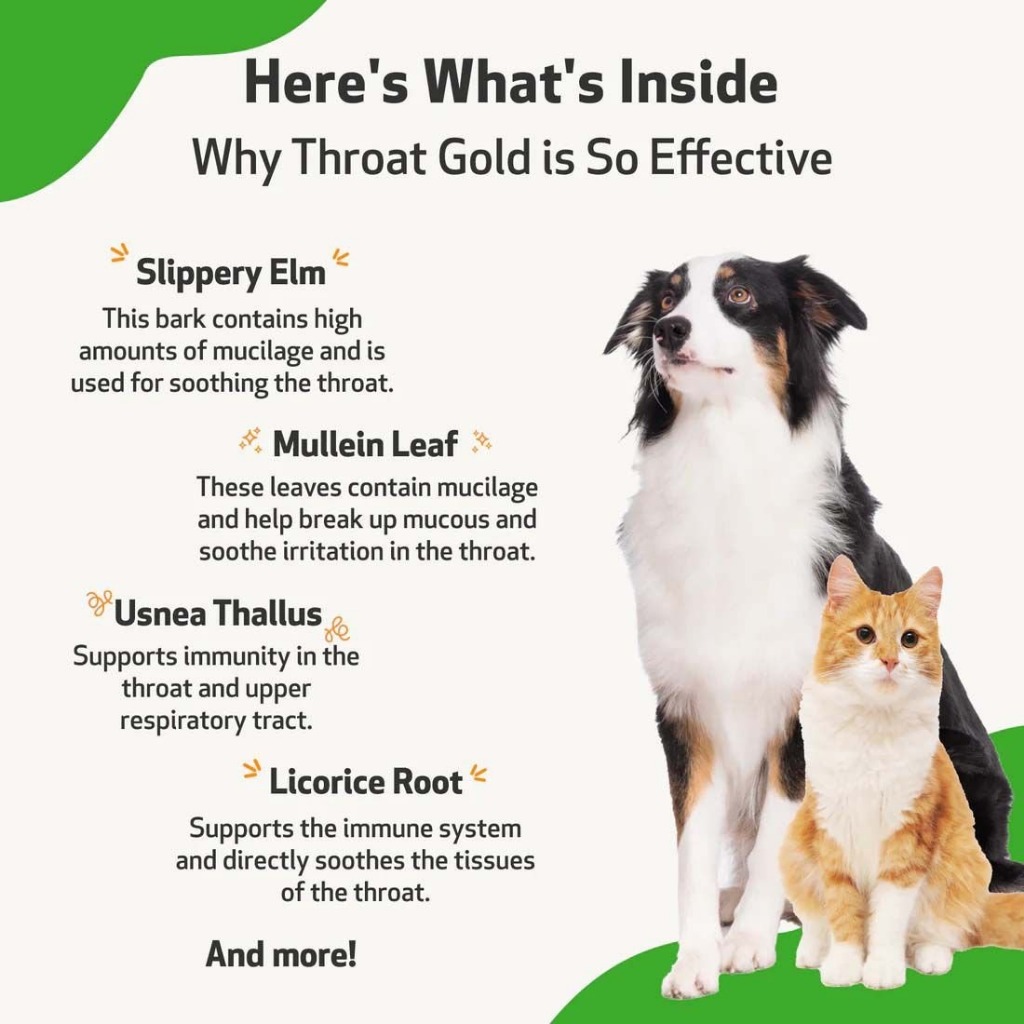Cải Thiện Ho, Hô Hấp, Xẹp Khí Quản và Hen Suyễn Cho Chó Mèo - PET WELLBEING Throat Gold 2oz -59ml