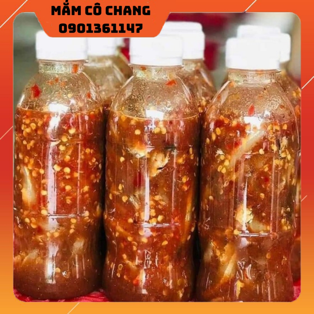 mắm cá cơm bình định