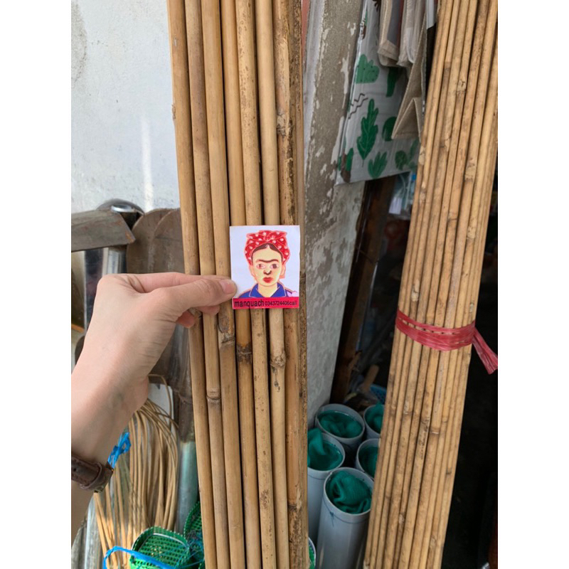 Cây tre,trúc làm cần câu ,cán tre,bè giáo,2met,2,5m