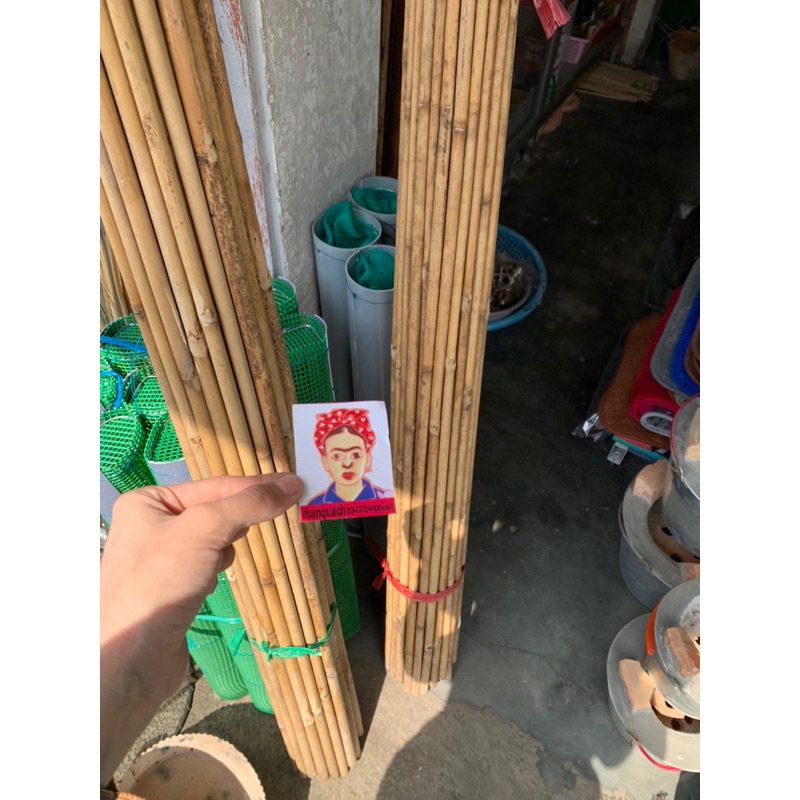Cây tre,trúc làm cần câu ,cán tre,bè giáo,2met,2,5m