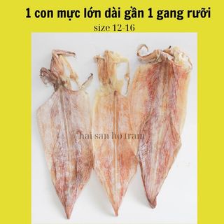 1con khô mực size 12-16con/kg mực khô hải sản hồ tràm loại 1