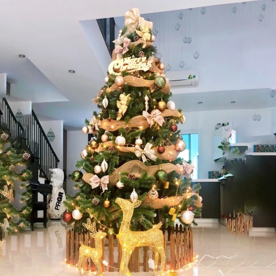 Cây Thông Noel Trang Trí Nhà Cửa Đủ Loại 2m1 1m5 1m8 Hàng Việt Nam Chất Lượng
