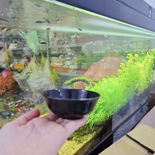 COMBO 10 Chén Chấm Tròn Sâu 9CM , chén đựng nước sốt
