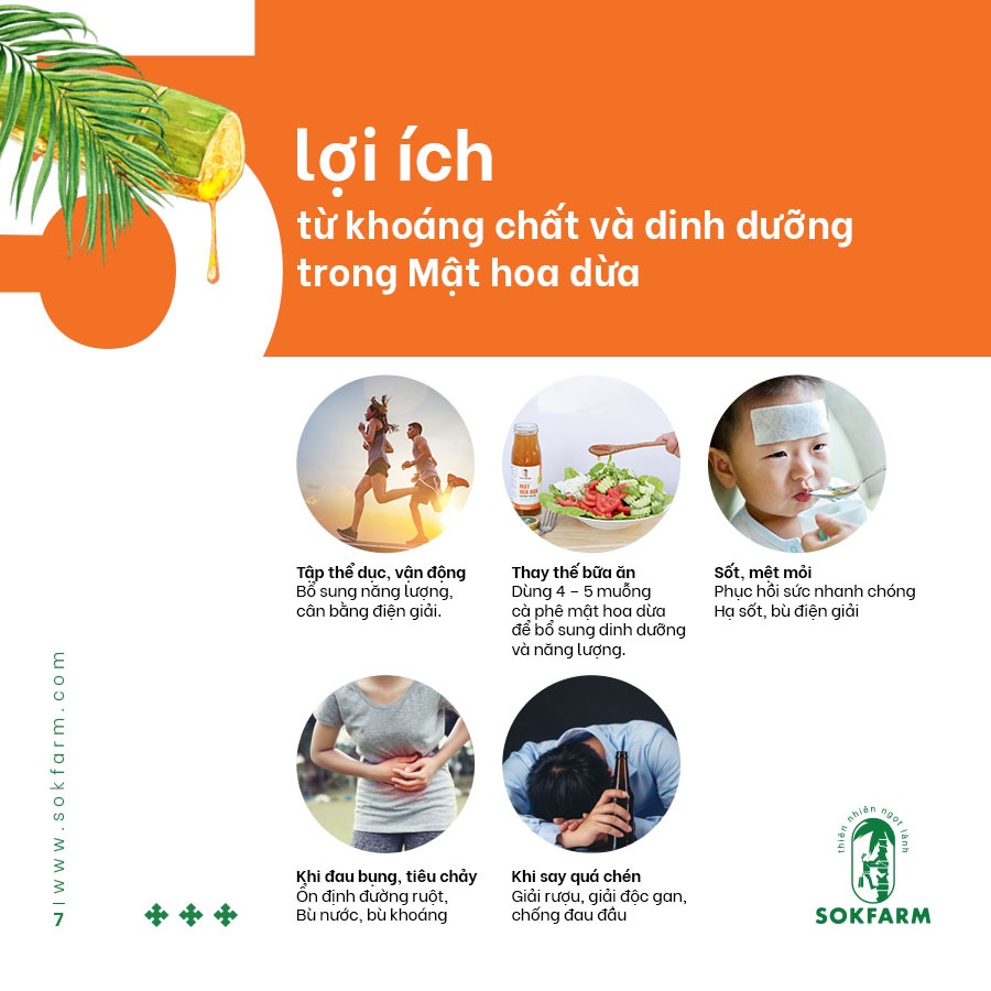 Mật hoa dừa Sokfarm 1,25kg sản phẩm thuần chay có chỉ số đường huyết thấp bổ sung năng lượng bù khoáng điện giải