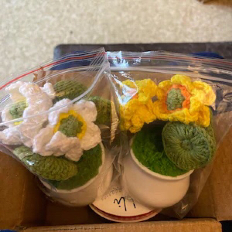 Chậu sen len handmade