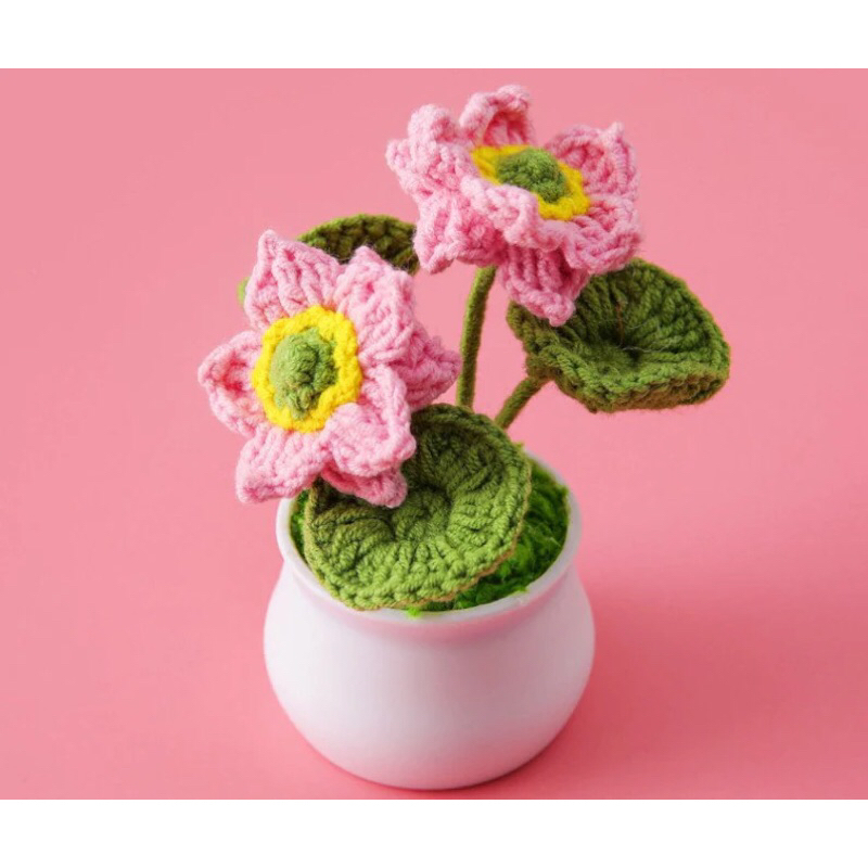 Chậu sen len handmade