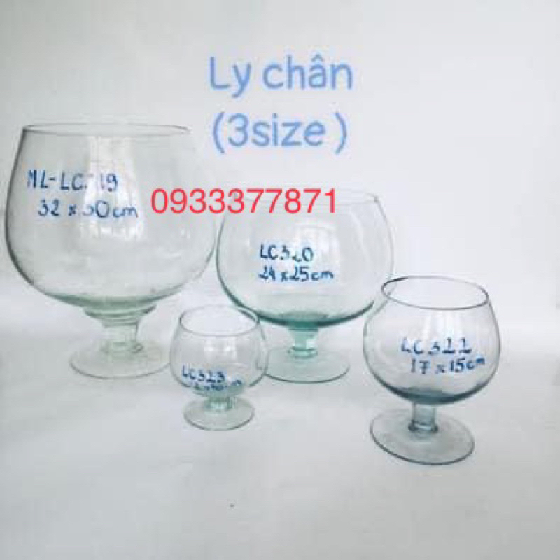 BỂ CÁ HÌNH LY CÓ CHÂN LC - KIỂU DÁNG ĐẸP, PHÙ HỢP TRANG TRÍ (HOẢ TỐC HCM)