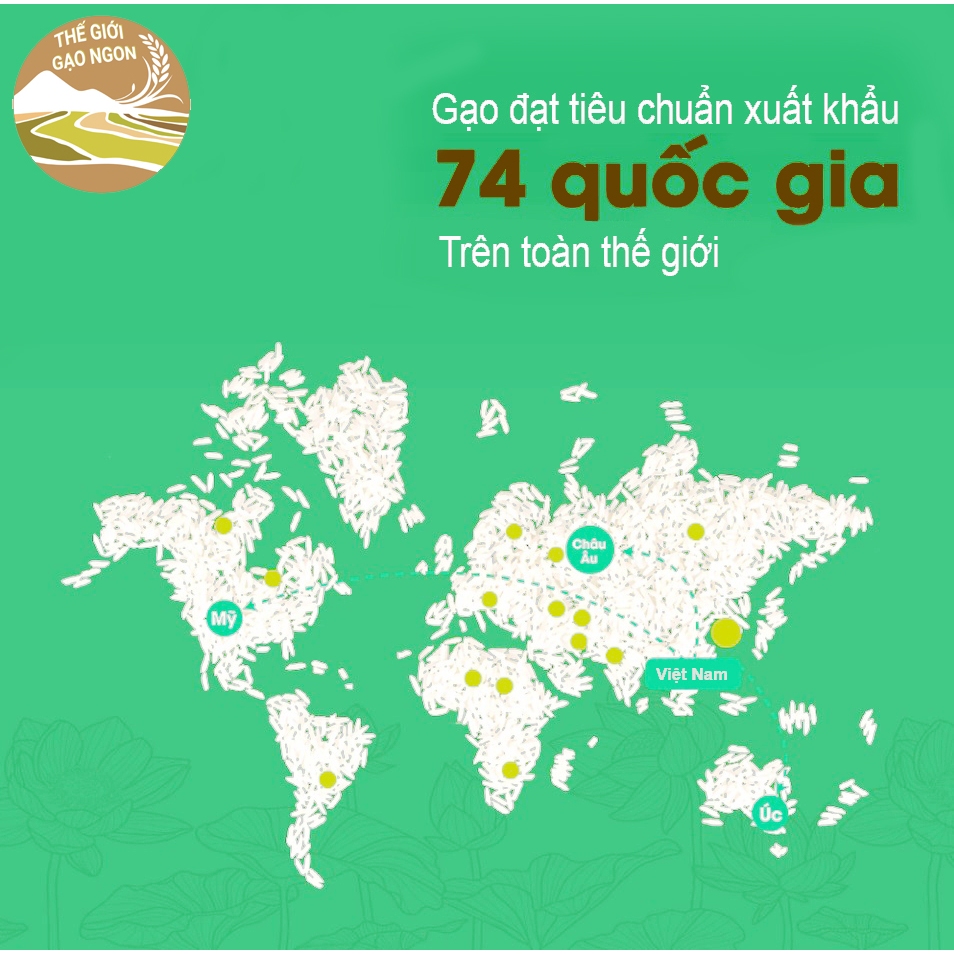 Gạo Tám Xoan Thương Hạng VJA Túi 10kg - Giá Sỉ, Date mới