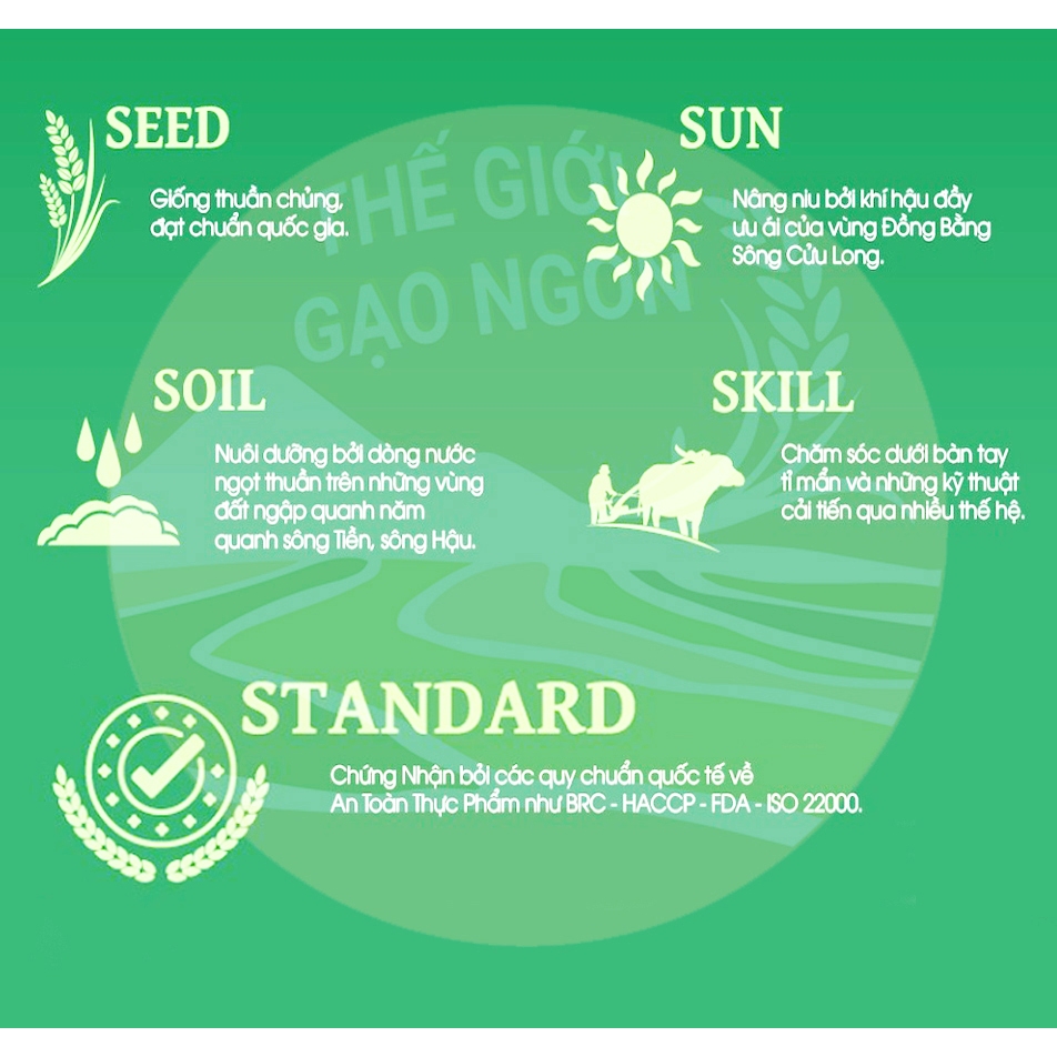 Gạo Tám Xoan Thương Hạng VJA Túi 10kg - Giá Sỉ, Date mới