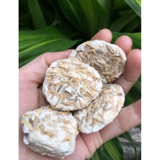 5 Viên men rượu làm cơm rượu, rượu ...