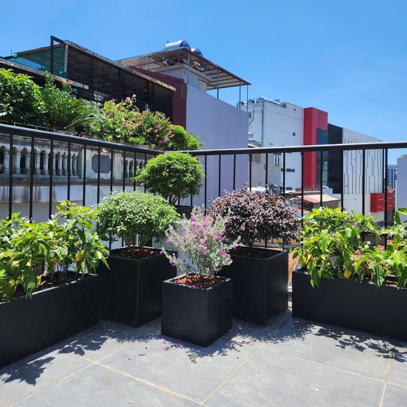 Chậu vuông xi măng nhẹ