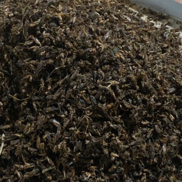 dế sấy khô 1kg