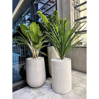 Chậu xi măng nhẹ trụ tròn cao ( chậu đá mài ) đa dạng kích thước, mẫu mã