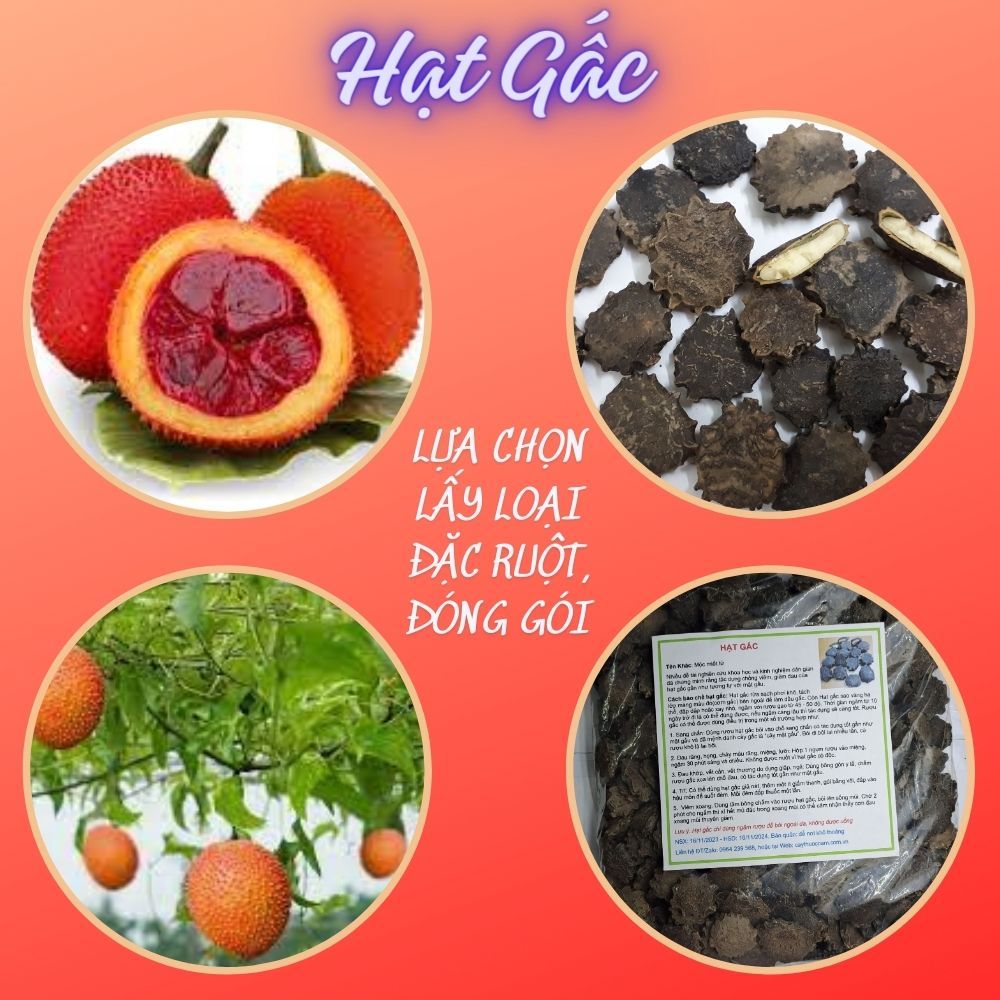 HẠT GẤC - Hạt đặc ruột 100%, loại đã rang, Túi 500g & 1kg