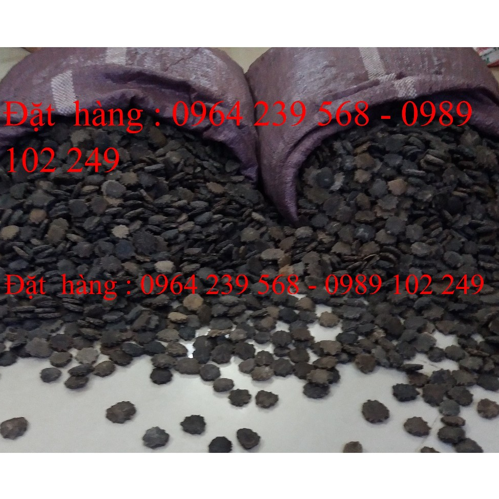 HẠT GẤC - Hạt đặc ruột 100%, loại đã rang, Túi 500g & 1kg