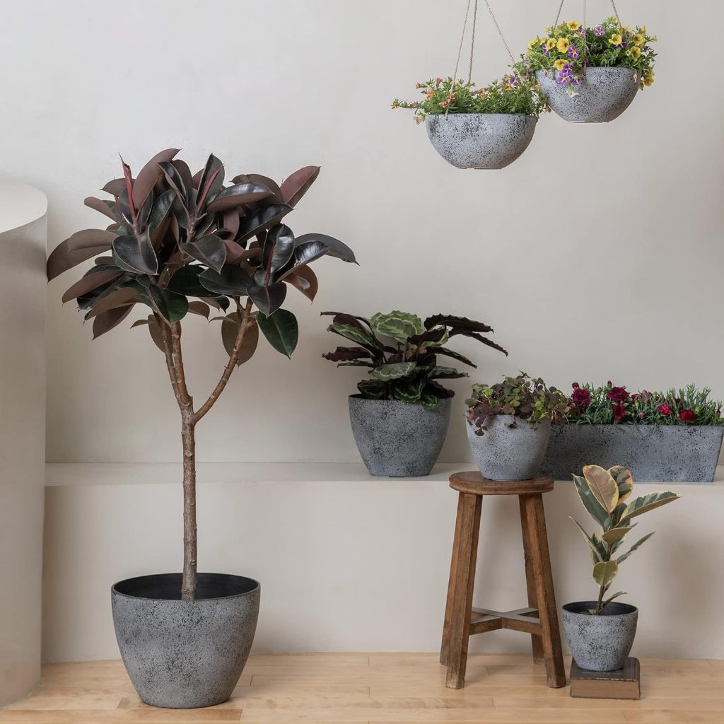 Chậu trồng cây vân đá MONROVIA kèm đĩa lót, decor trang trí cho hoa, cây cảnh, ban công, bonsai, tiêu chuẩn châu Âu