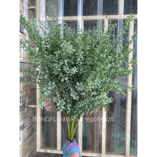 Cành lá giả cành lá măng Tây giả trang trí decor dài 70cm