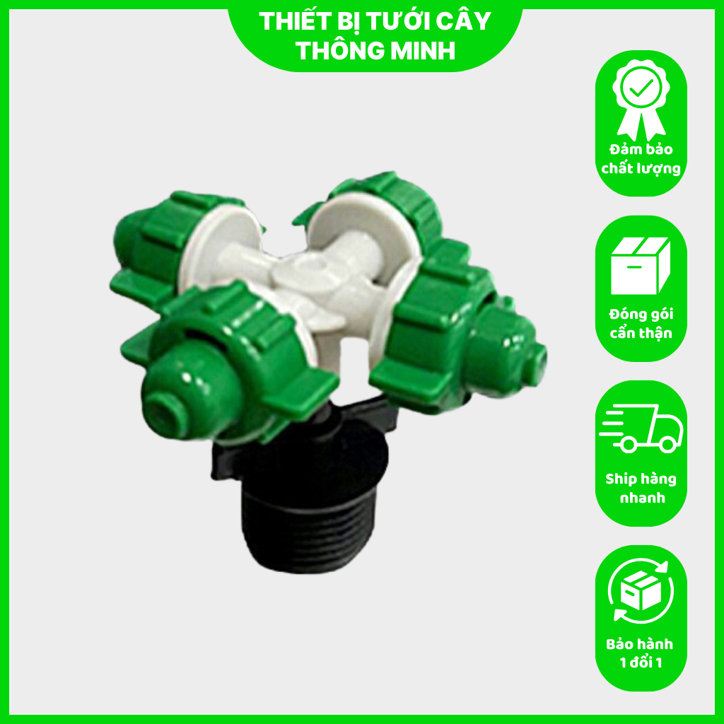 5 Béc Xanh 4 Hướng Ren Phi 21