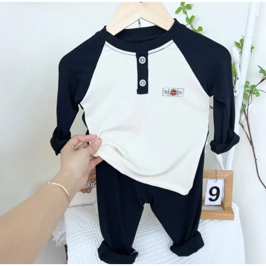 Bộ dài tay thu đông, Bộ tăm gân  Hàn QUốc họa tiết nhiều màu cho bé trai, bé gái từ 6 đến 15kg