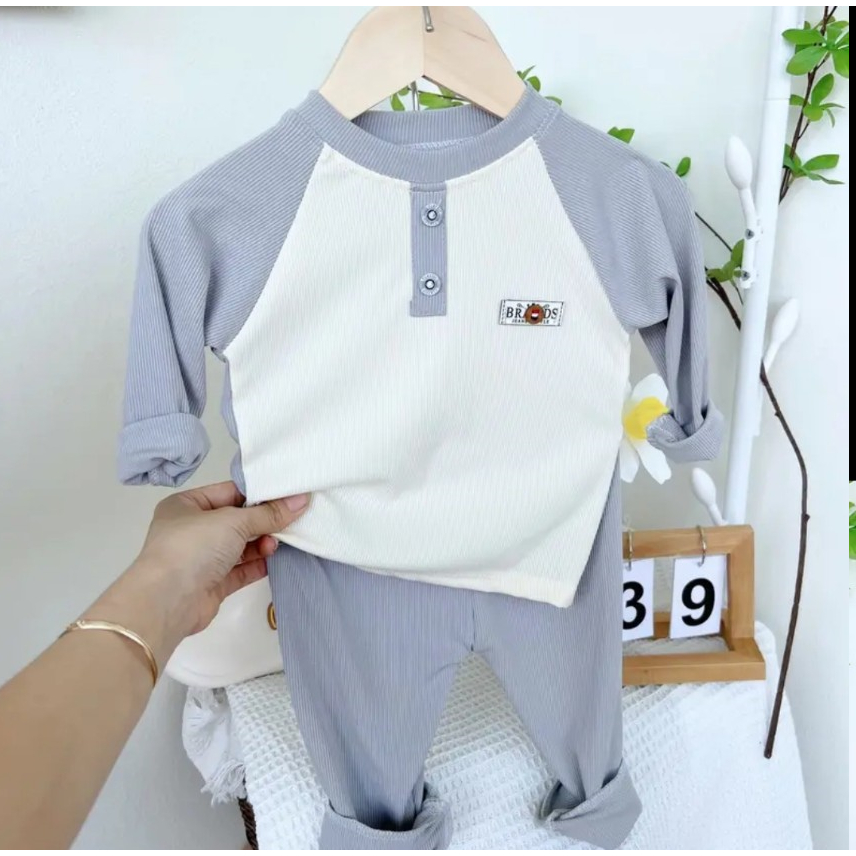 Bộ dài tay thu đông, Bộ tăm gân  Hàn QUốc họa tiết nhiều màu cho bé trai, bé gái từ 6 đến 15kg