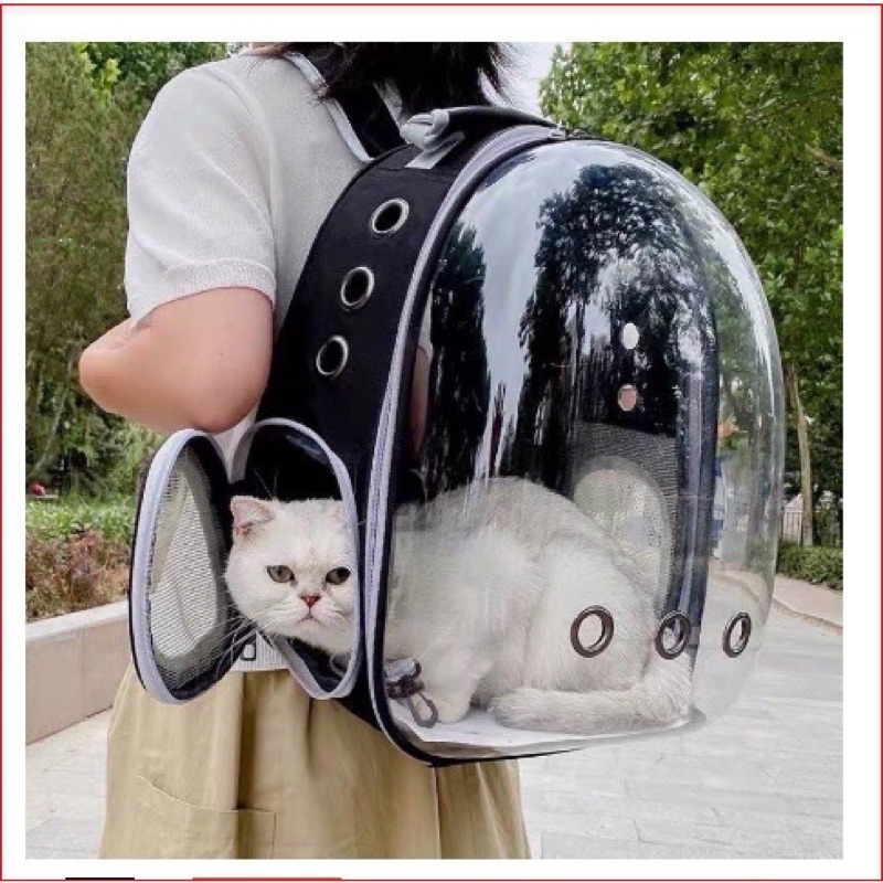 Balo phi hành gia nhựa trong suốt nhiều màu cho mèo và chó