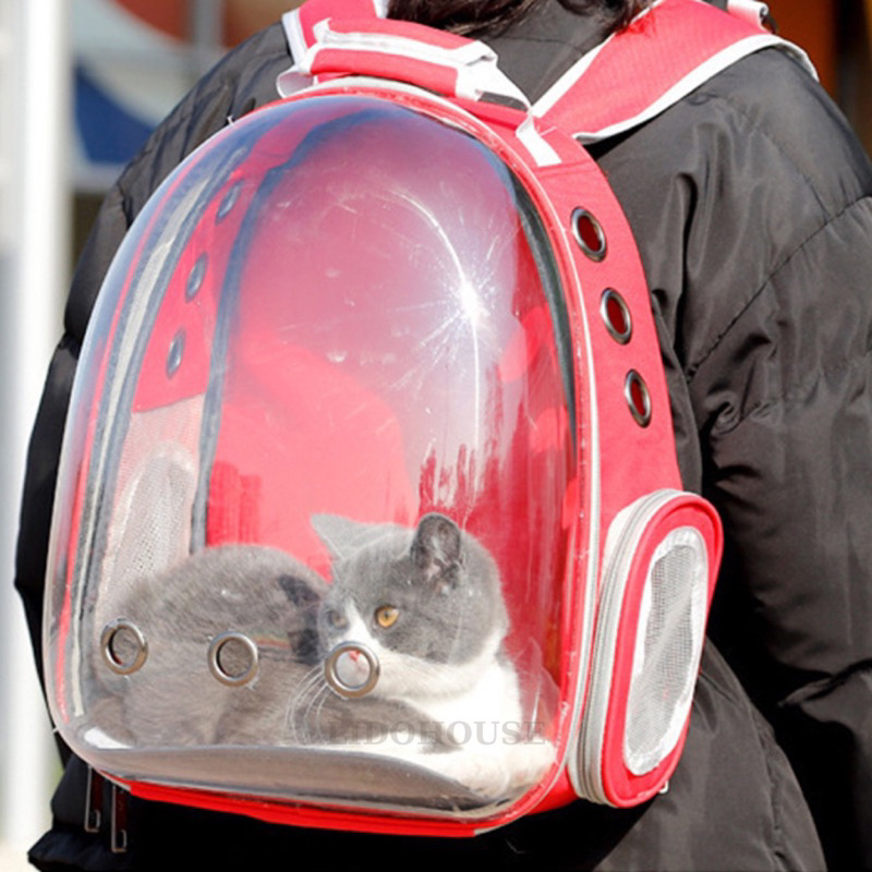 Balo phi hành gia nhựa trong suốt nhiều màu cho mèo và chó