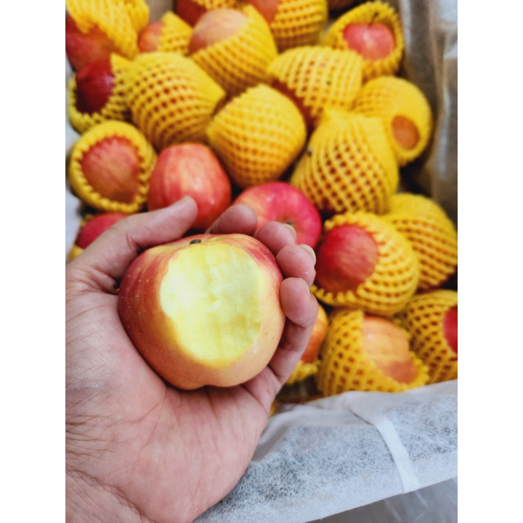 2Kg Táo Fusi táo ép nước.
