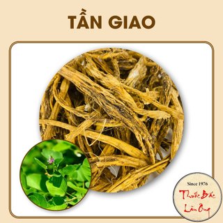 Tần giao khô, sạch, nguyên củ 500g - lãn ông