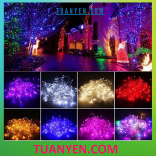 Dây Đèn Led Không Chớp Trang Trí Noel & Tết - Dây Dài 7M