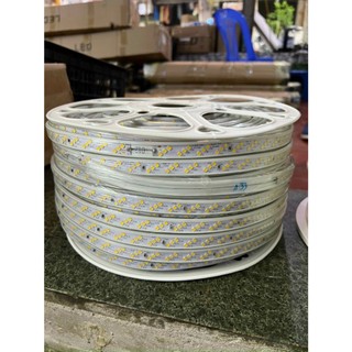 Cuộn 10 , 20 , 50m dây đèn led 2835 220v có kèm nguồn nối sẵn trang trí 3 hàng bóng tặng kèm nguồn
