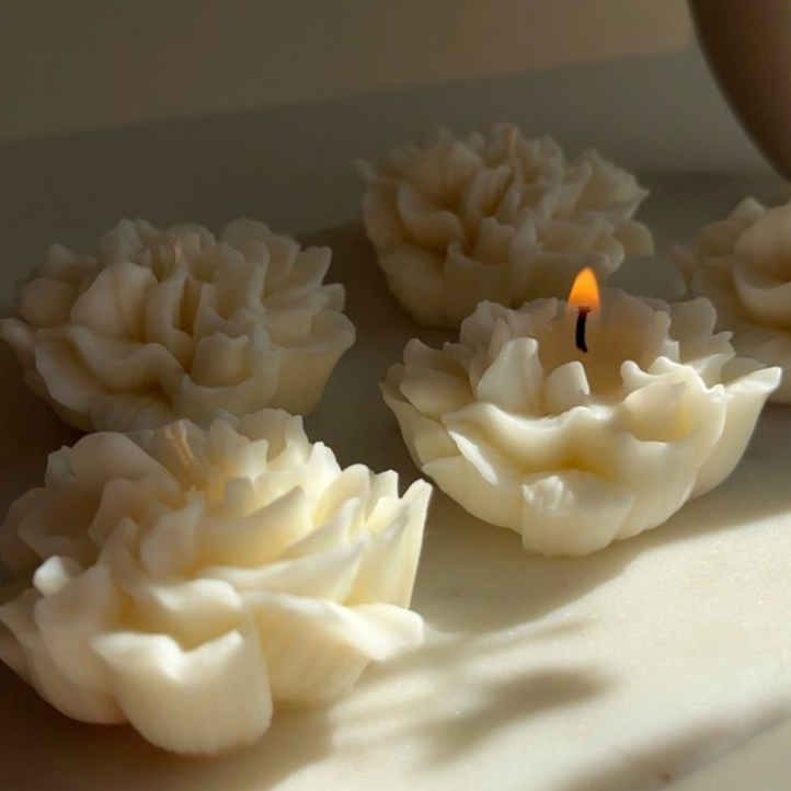 Nến hoa cẩm chướng dùng làm quà tặng, các dịp lễ tình nhân, cặp đơi, sinh nhật, chill, đốt, trang trí nhà cửa