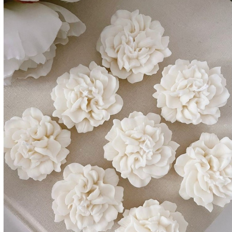 Nến hoa cẩm chướng dùng làm quà tặng, các dịp lễ tình nhân, cặp đơi, sinh nhật, chill, đốt, trang trí nhà cửa