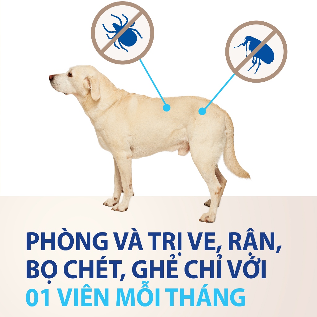 NexGard - Viên nhai phòng & trị ve, rận, bọ chét, ghẻ demodex, sarcoptes dành cho chó từ 2-50kg - 1 hộp 6 viên