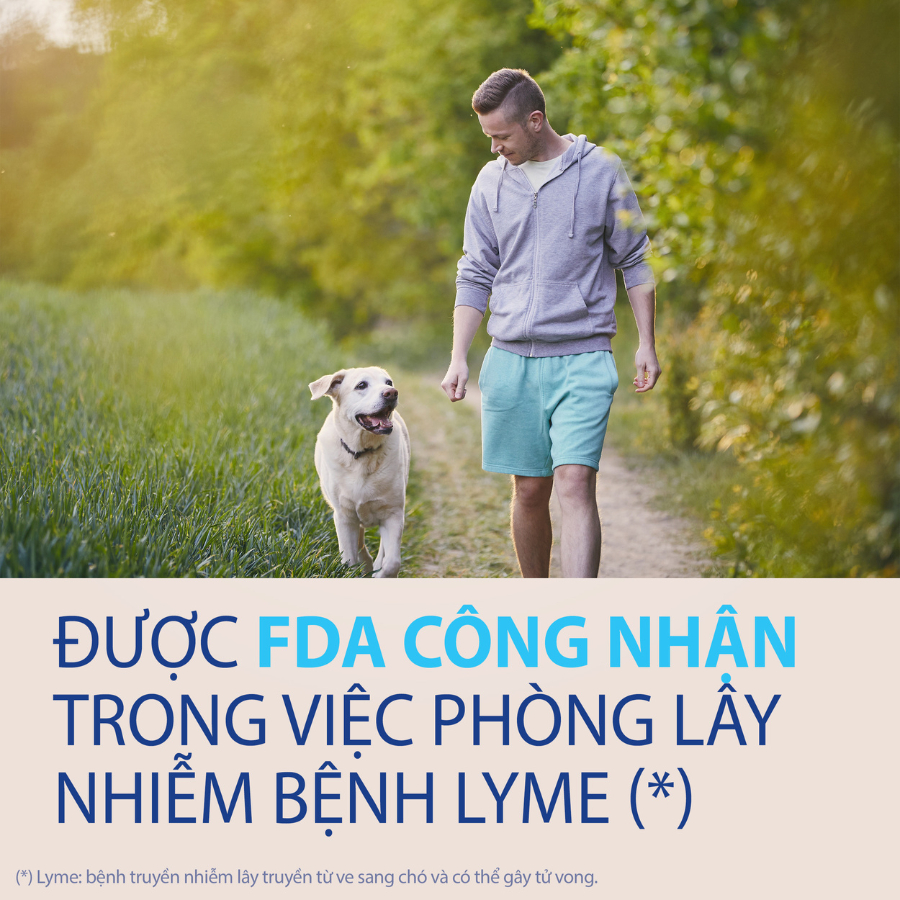 NexGard - Viên nhai phòng & trị ve, rận, bọ chét, ghẻ demodex, sarcoptes dành cho chó từ 2-50kg - 1 hộp 6 viên