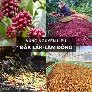 Cà phê hạt nguyên chất,Rang Mộc 100% ROBUSTA (500G )