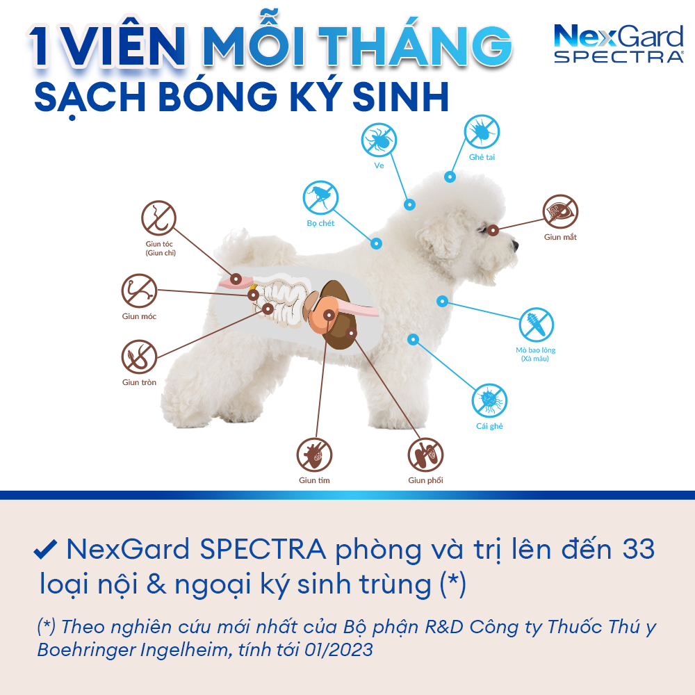 [DATE 10/2024]NexGard SPECTRA-Viên nhai phòng&trị nội, ngoại ký sinh(ve,rận, bọ chét, ghẻ Demodex,Sarcoptes,giun) SIZE M