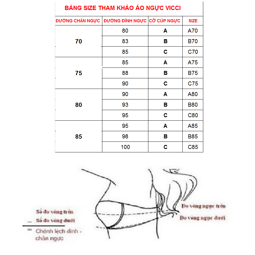 (BST Mới) Áo ngực nữ Vicci mỏng, gọng nhựa êm mềm ôm trọn ngực AV.11