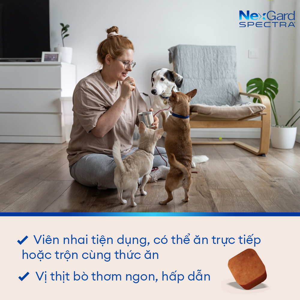 NexGard SPECTRA - Viên nhai phòng & trị nội, ngoại ký sinh (ve, rận, bọ chét, ghẻ Demodex, Sarcoptes, giun) dành cho chó