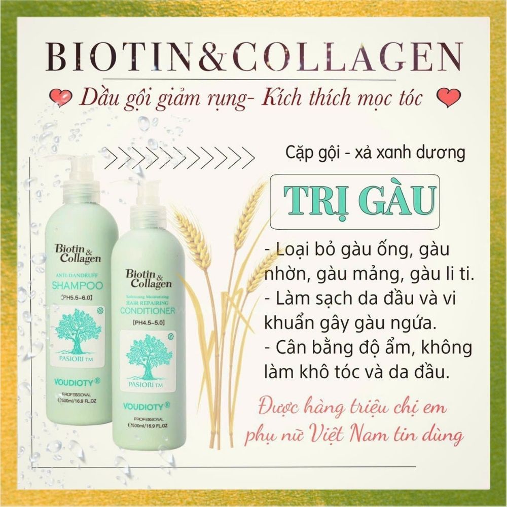 Dầu Gội Biotin Collagen Xanh Dương Chính Hãng, Combo Gội Xả Ngừa Gàu