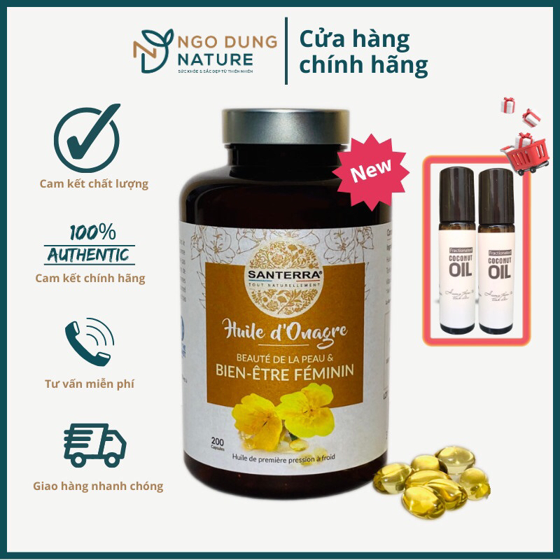 Dầu hoa Anh Thảo – Huile d’Onagre SANTERRA