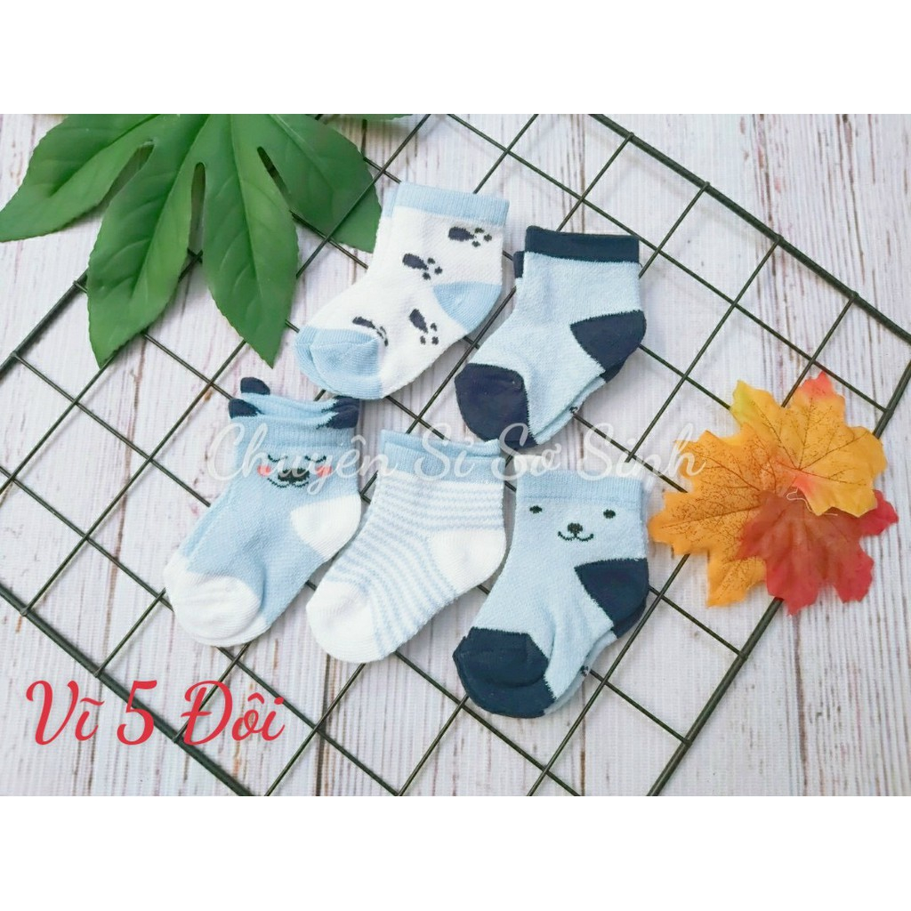 Sét 5 Đôi Tất Lưới Trẻ Em Mềm Mịn, Vớ Chân Cổ Cao Cho Bé Sơ Sinh Đến 1 Tuổi_5Hanquoc